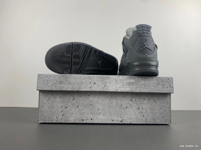 Rep Paris SE Olympics Jordan Air 4 0712